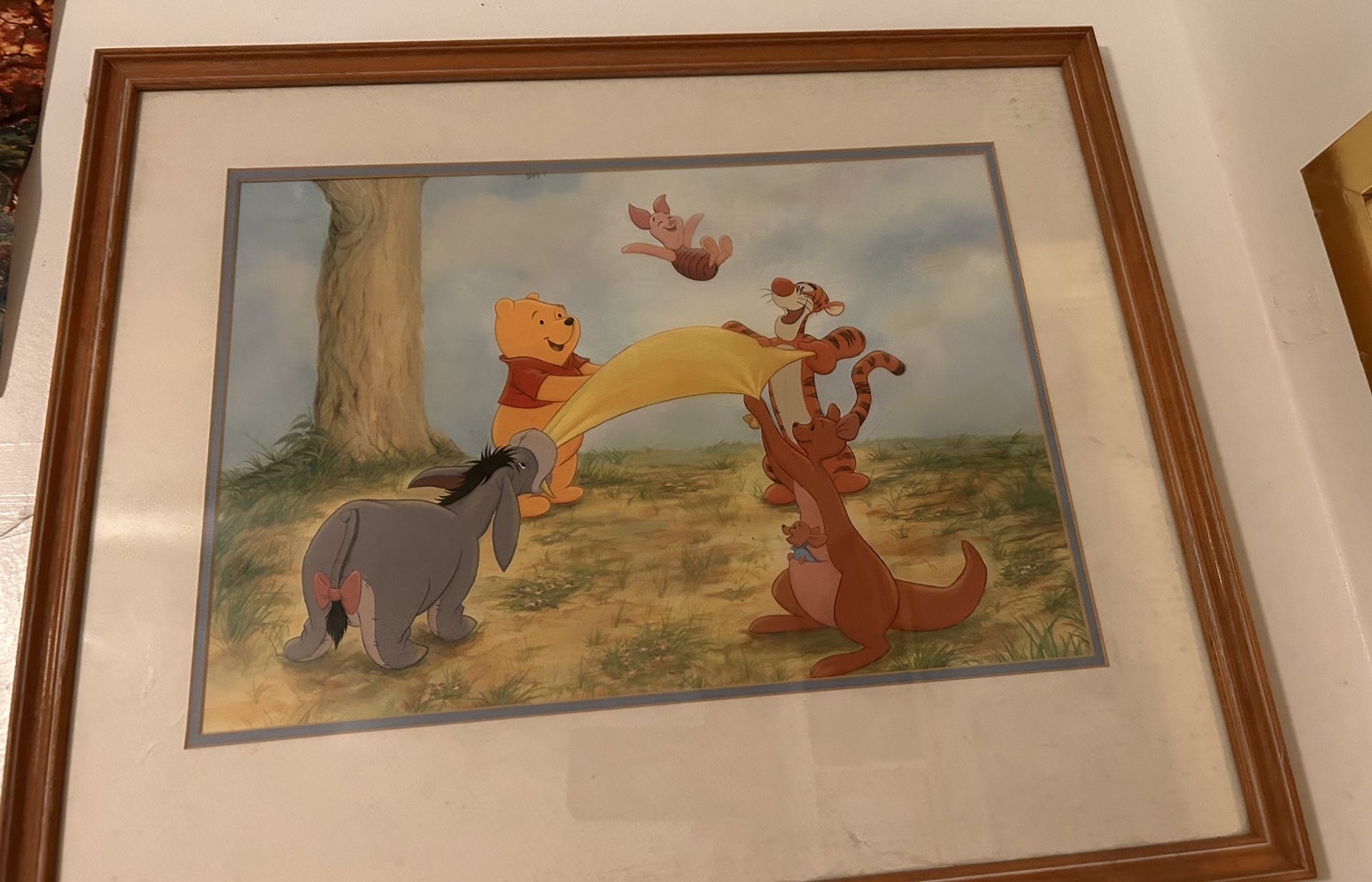 Disney/Disneyland  Framed Portraits 