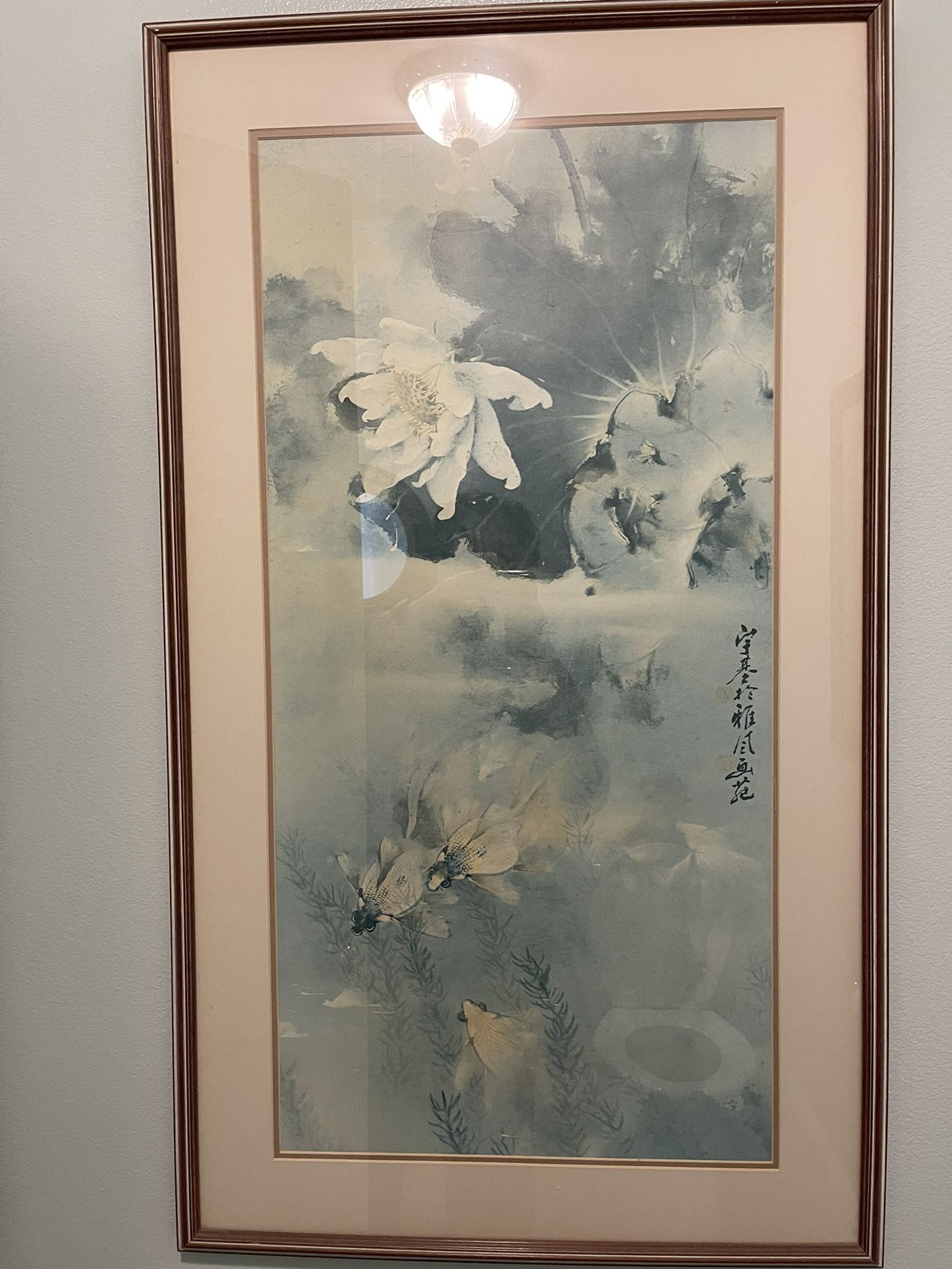 Koi fish In Water