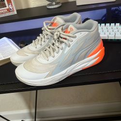 Puma Melos