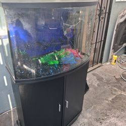 Fish Tank Bow Tie 36 Gallon 