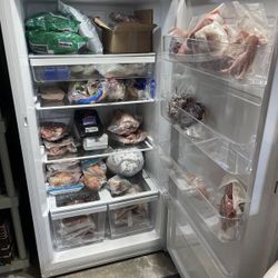 Large Freezer 