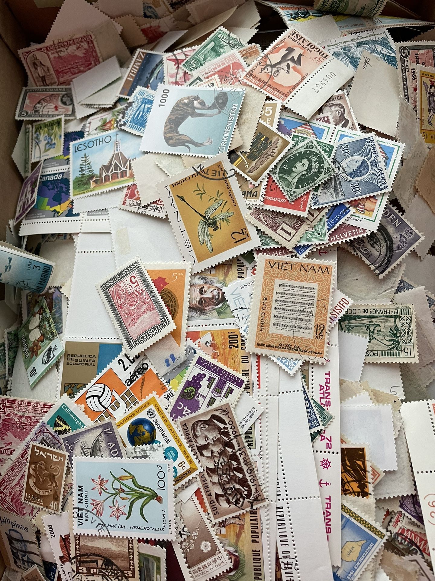 1000 Off Paper World Wide Stamp Lot