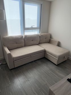 Beige Sectional Sleeper Sofa with Storage Chaise