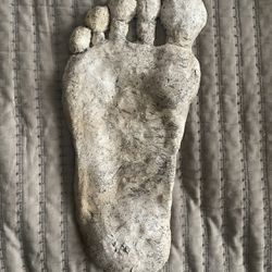 Bigfoot Footprint  Casting Oddity