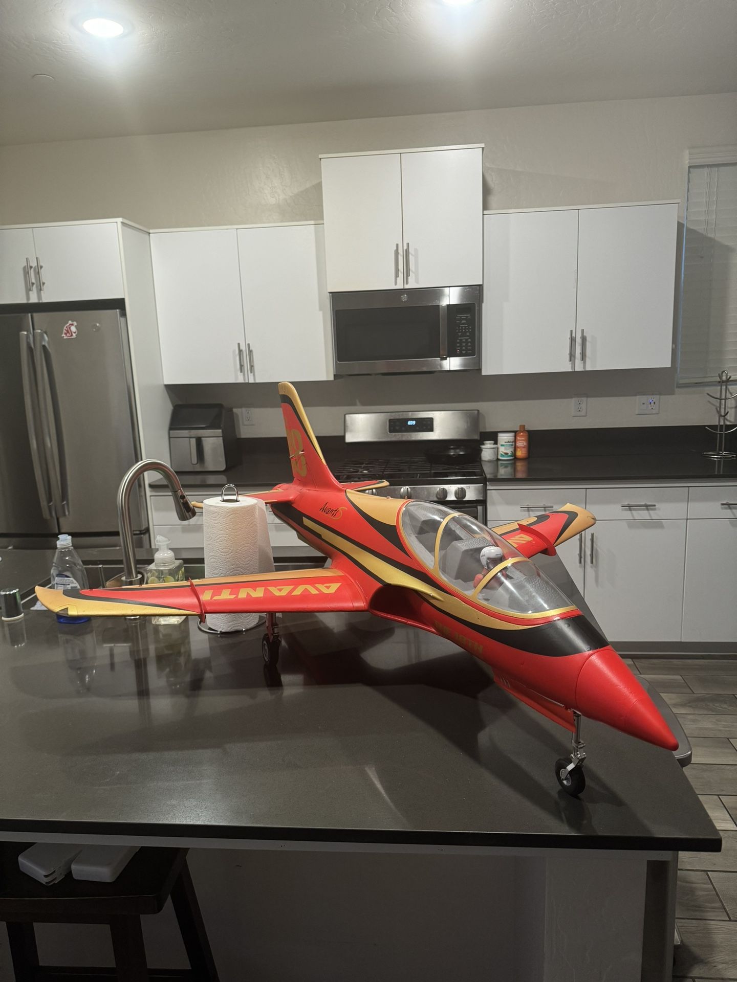 FMS 90mm thrust Vectoring avanti