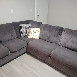 Queen Size Bed & Couch 