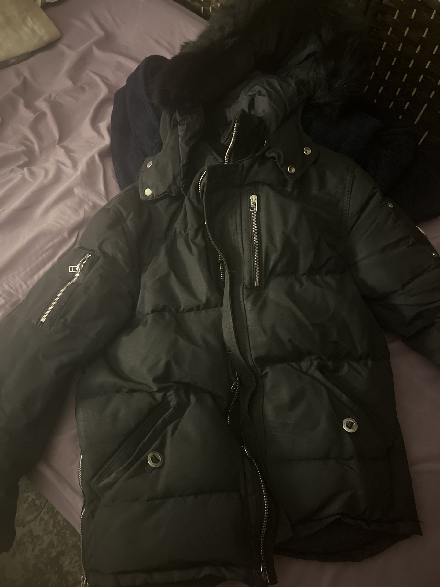 Moose Knuckle 3q Down Jacket Black