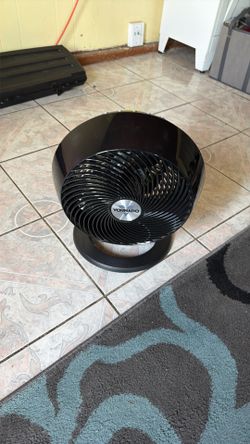 Vornado fan