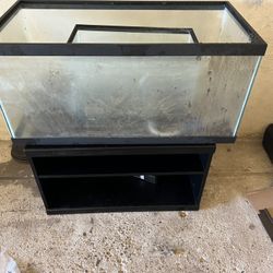 Aquariums And Stand + Delivery