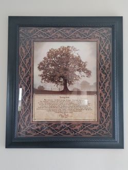 Framed Picture for Wall Decor