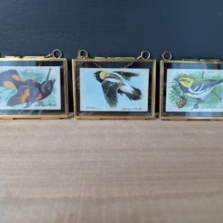Vintage Authentic Arm And Hammer Bird Identification Cards In Gold Pressed Frames 