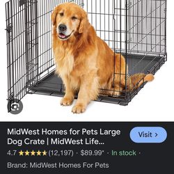 Dog Crate large 