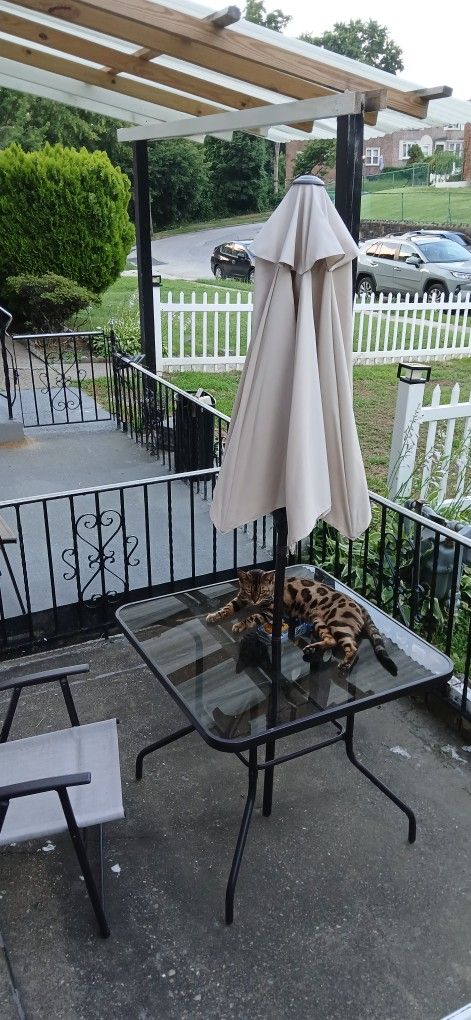 Table and chair