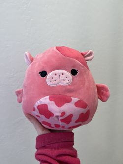 “kerry” Sea Cow Squishmallow
