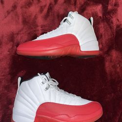 Air Jordan 12 Retro Cherry 2023
