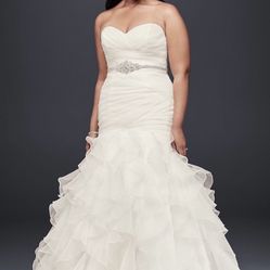 David’s Bridal Wedding Dress (ivory)