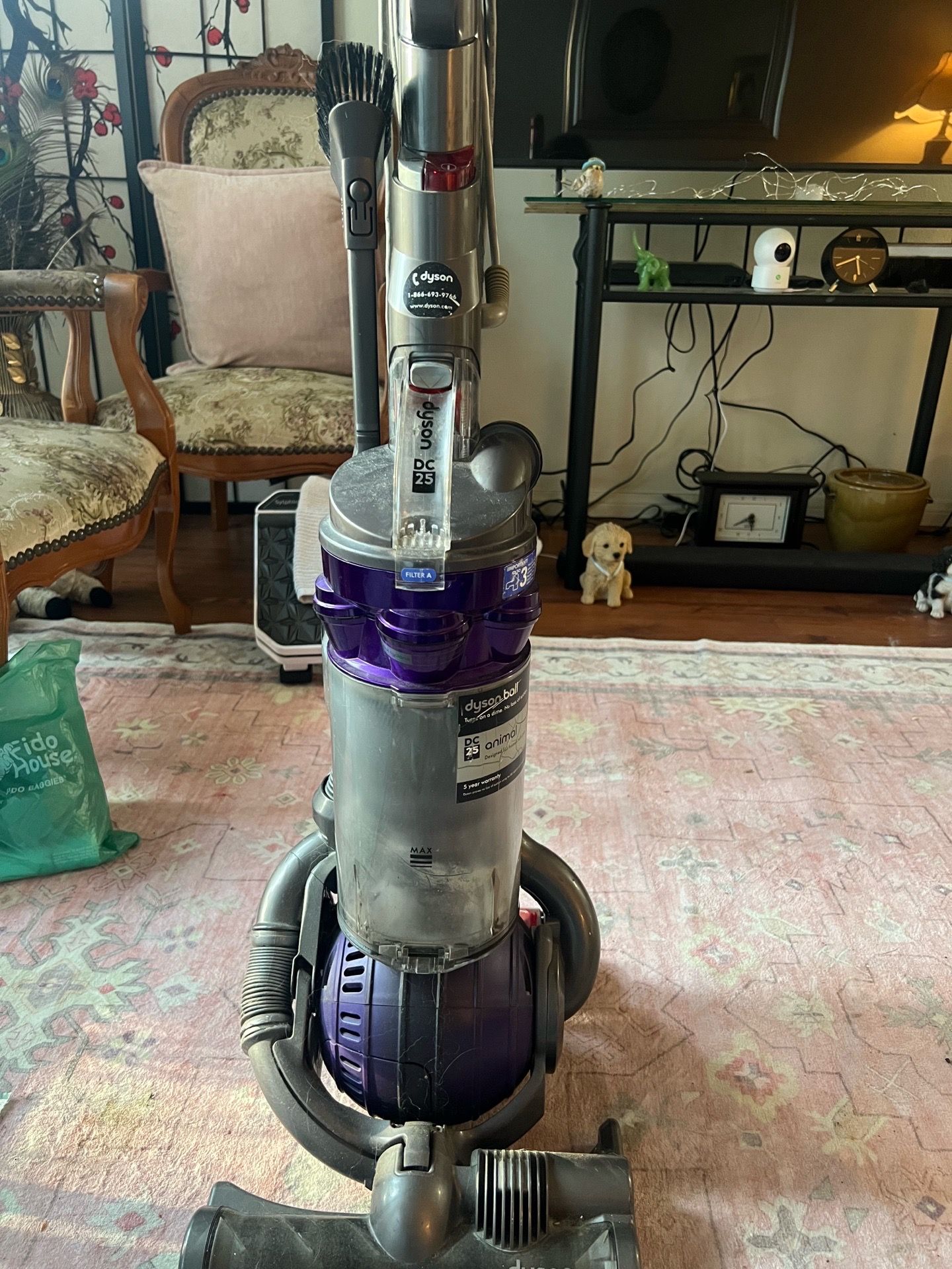 Dyson vacuum