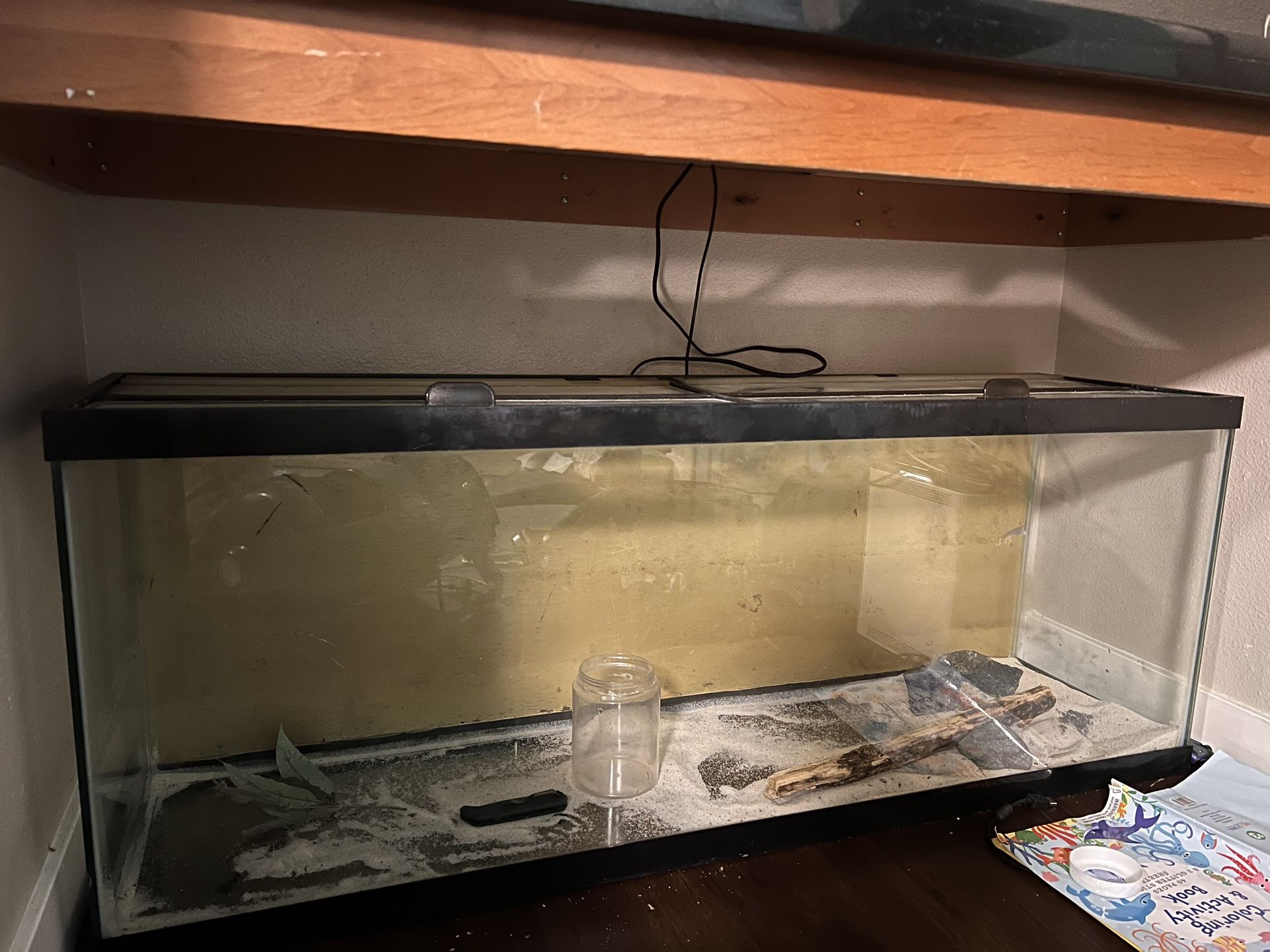 50 Gallon fish tank