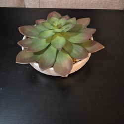 Faux Succulent Plant
