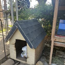 Dog House 