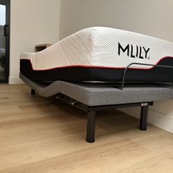 Adjustable Twin Bed