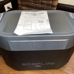 EcoFlow Electric Generator 