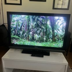48” Vizio tv (great quality and resolution)