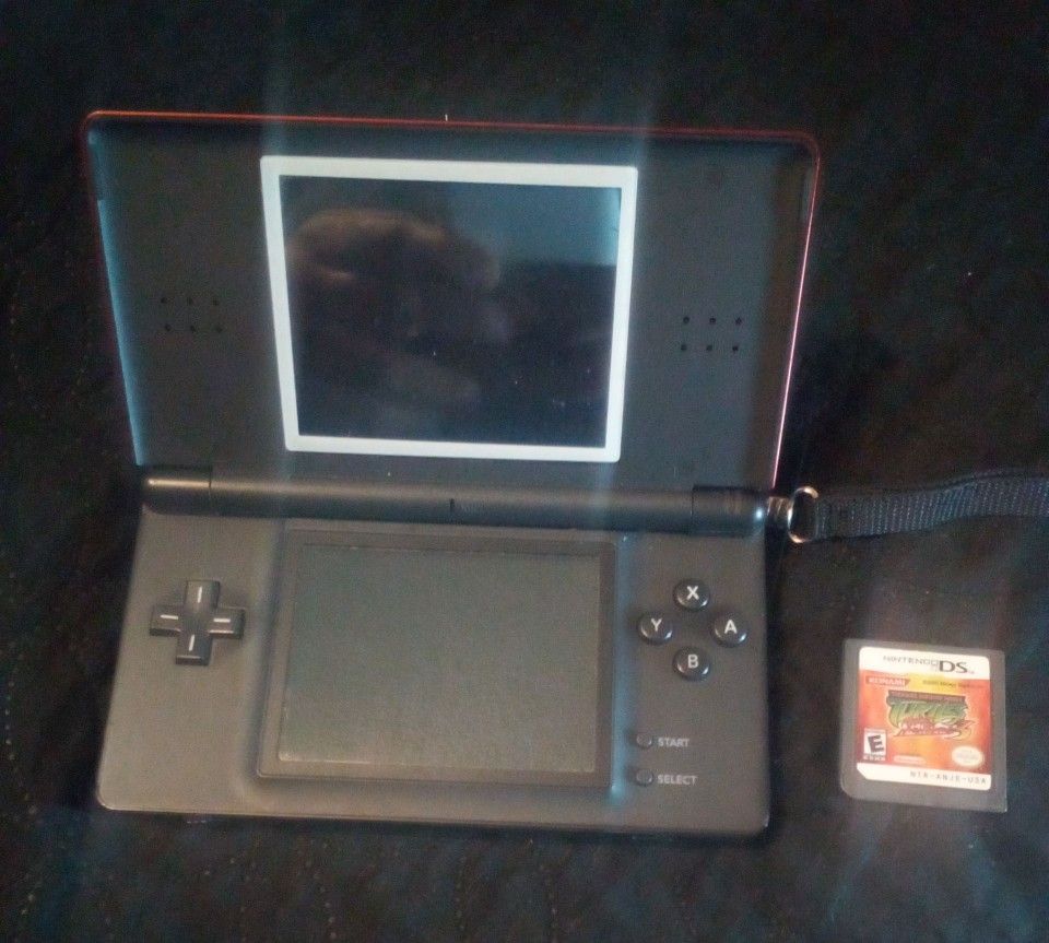 Nintendo DS Lite 