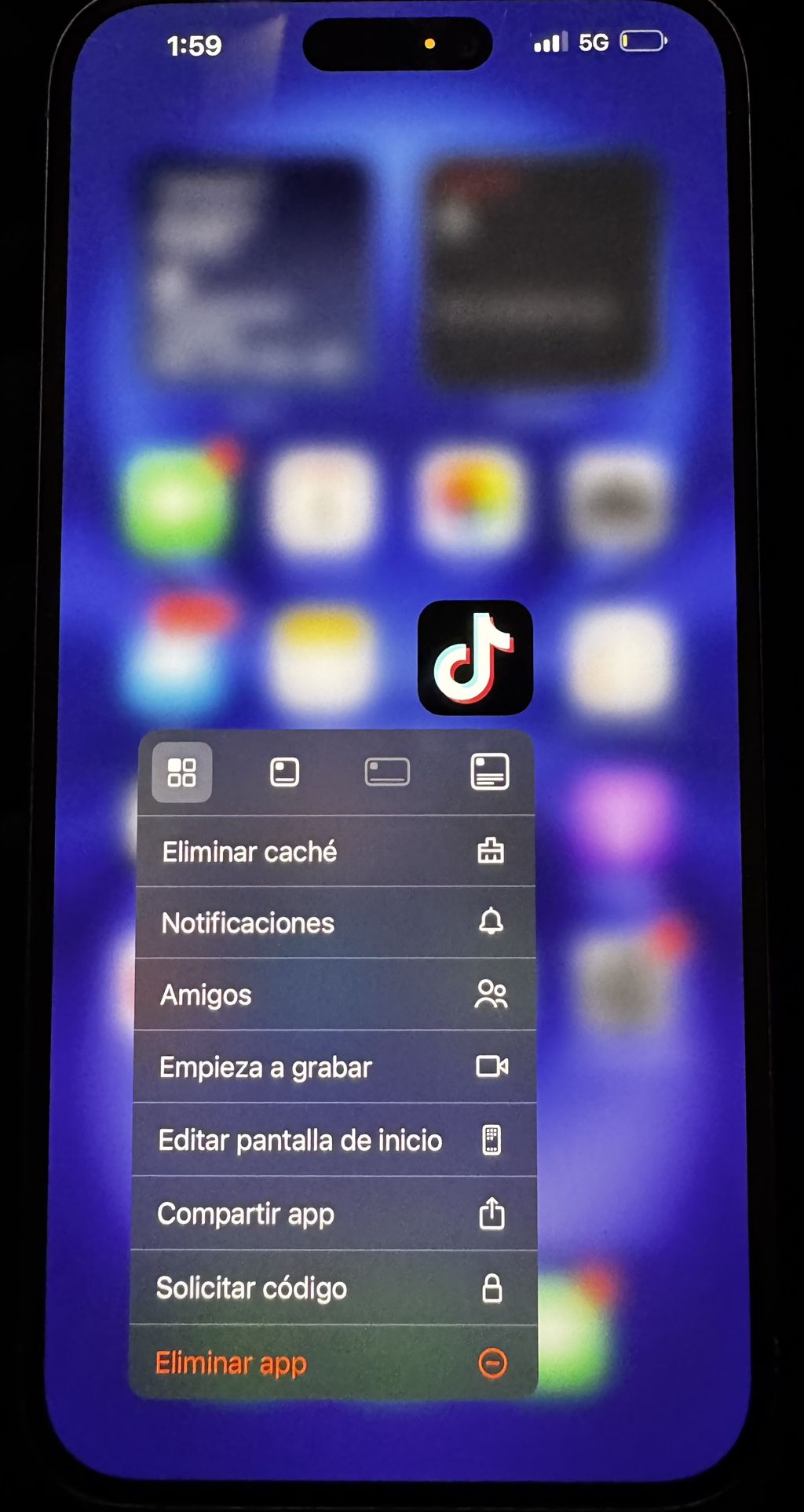 iPhone 16 Plus With TikTok