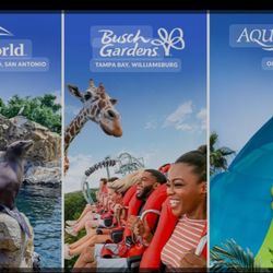 6 Tickets Orlando Fl