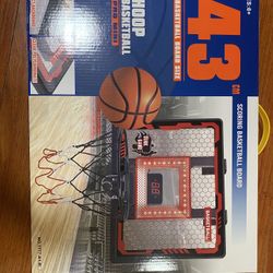 Mini Indoor Hoop basketball