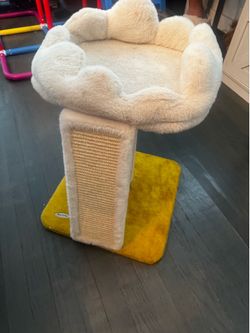 Cat perch and play