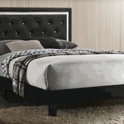 Modern Queen Size Bed, Black - Mattress And Box Included (optional)