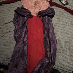 Sanderson Witch Costume