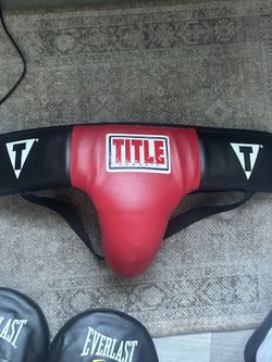 Boxing Groin Protector
