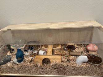 Hamster cage