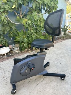 Fitness Chair - Flexispot F1