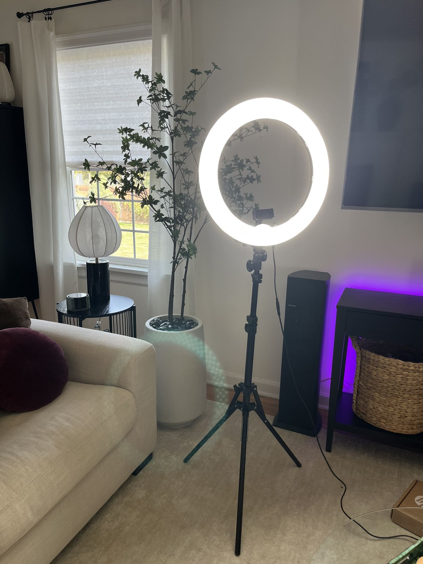 Neewer 19” Ring Light