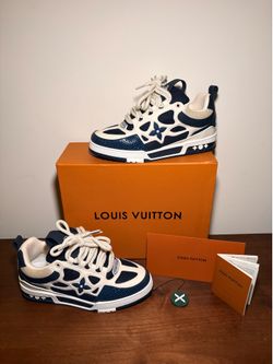 Louis Vuitton skate shoes