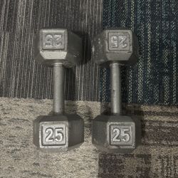 2 Dumbbell Weights 25 Each 