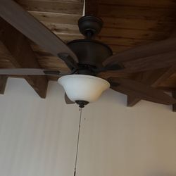 Brown Fan With Light
