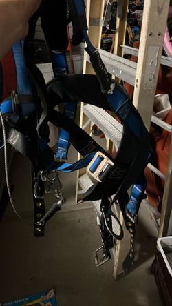 Harness