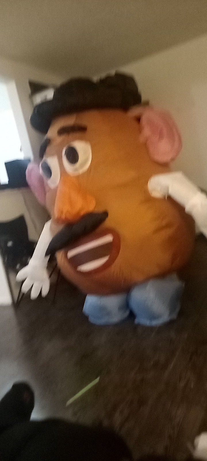Mr Potato Inflatable Custome