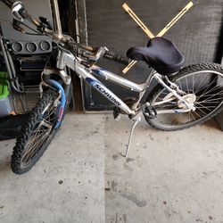 Mountain Schwinn Bike