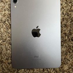 Purple iPad Mini 6