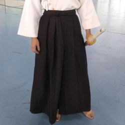 Hakama Kendo Iaido Aikido Hapkido Martial arts  size 3. Like new