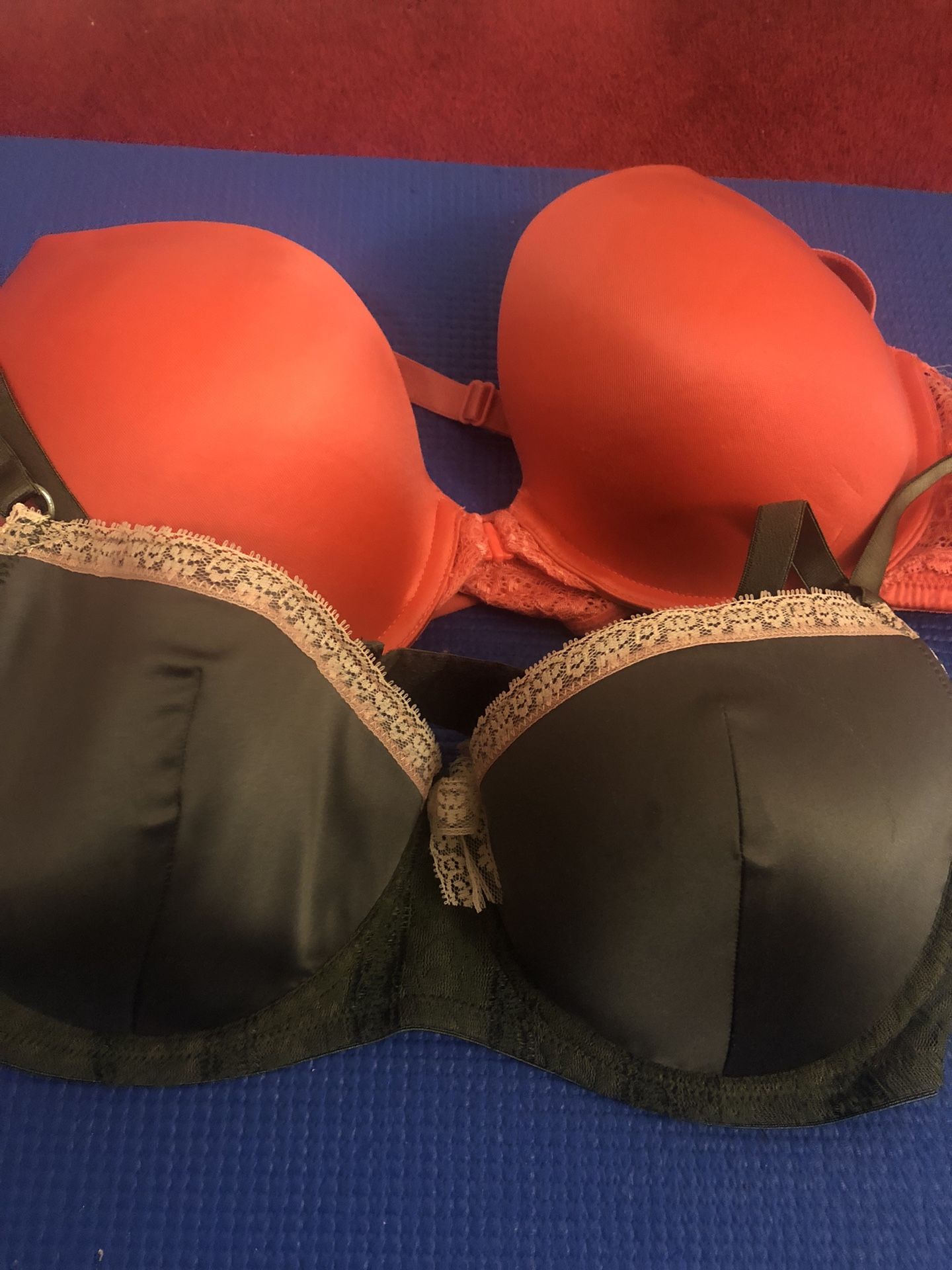 36 D Bra