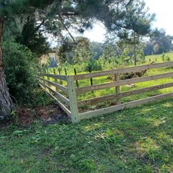 Horse Fence 
