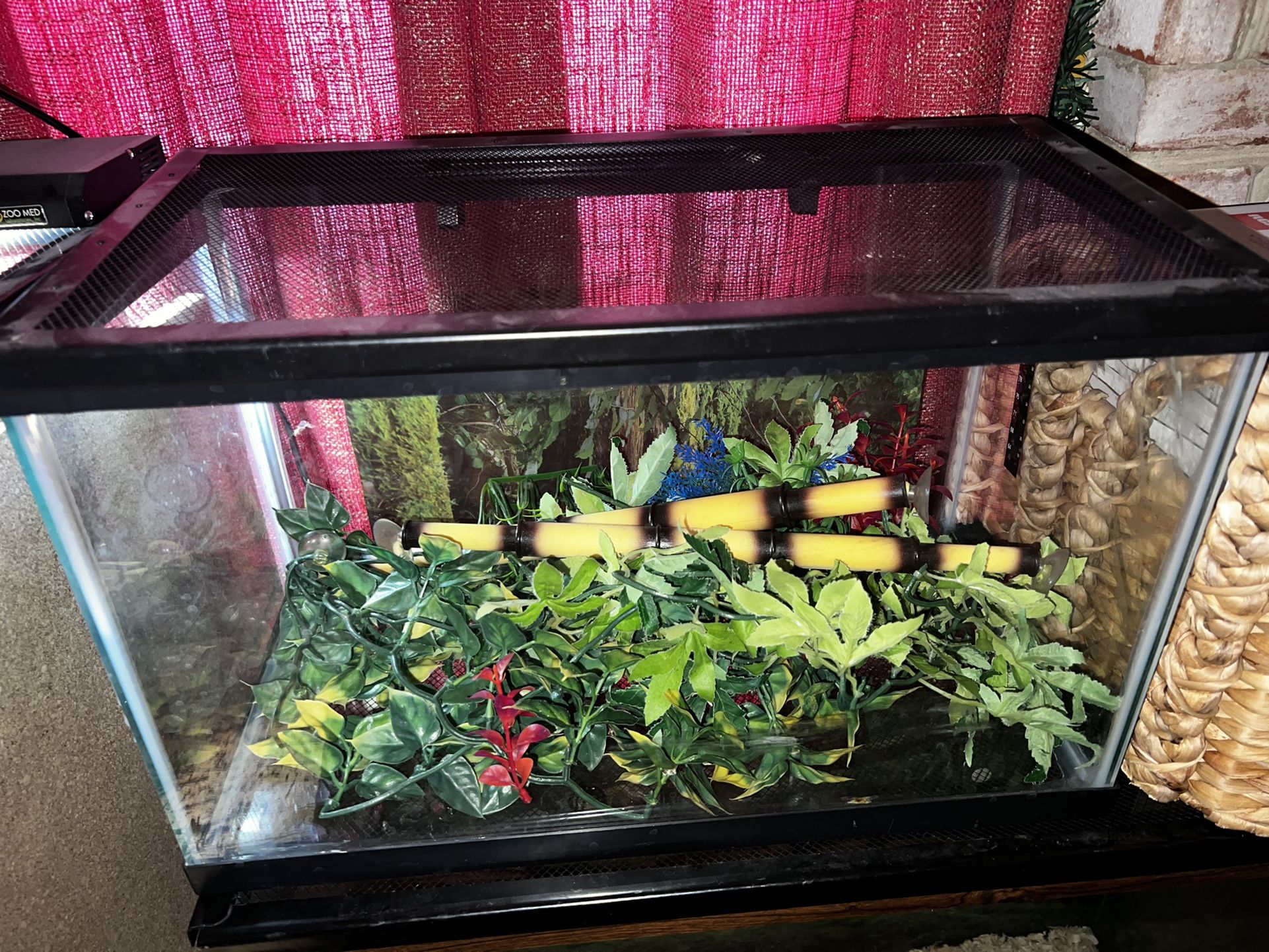 10 Gallon Aquarium Terrarium!