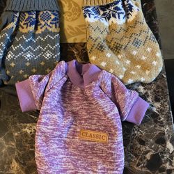 Three small sweaters for dogs